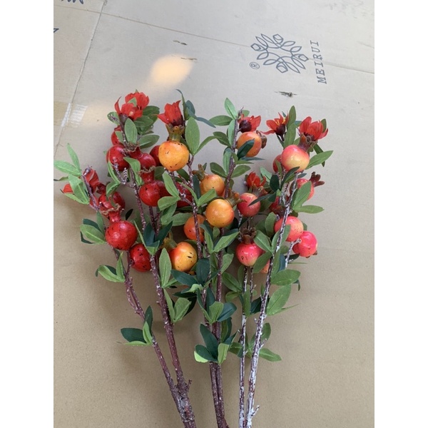 Cành quả lựu 9 quả có hoa