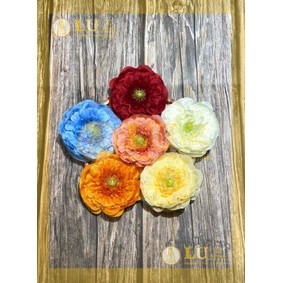 Đầu hoa tràm trà 9 - 10cm | LU