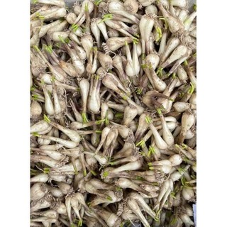 1kg củ kiệu quế tép to tươi khô