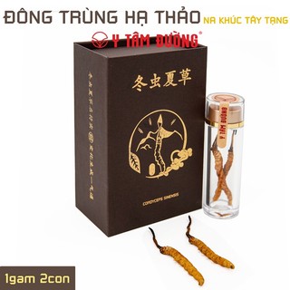 Đông trùng hạ thảo Na Khúc, Tây Tạng - Loại 2 con 1 gam