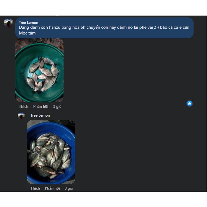 Cần câu cá Đài Mộc tâm 3h 28i Chuyên diếc chép Siêu cứng siêu bền siêu nhẹ siêu dẻo