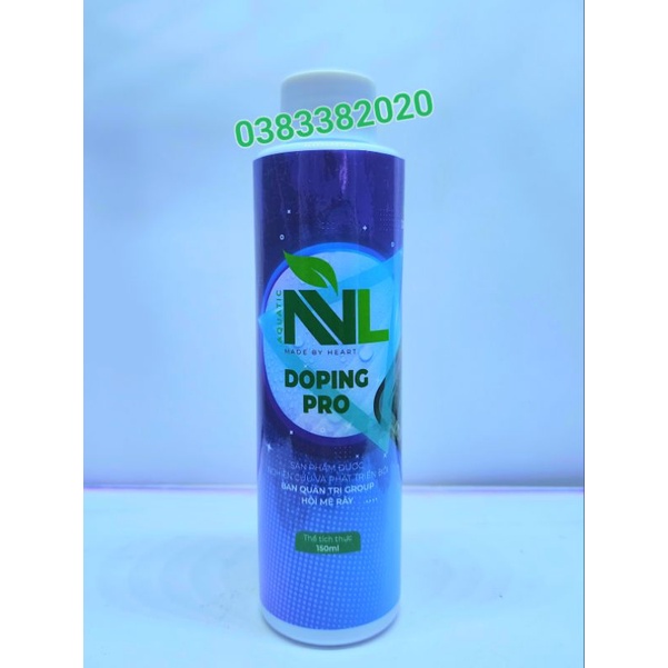 Kích rễ chồi NVL