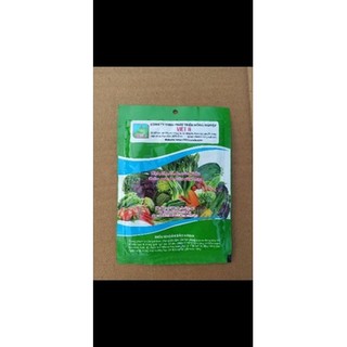 hạt giống thì là cao sản