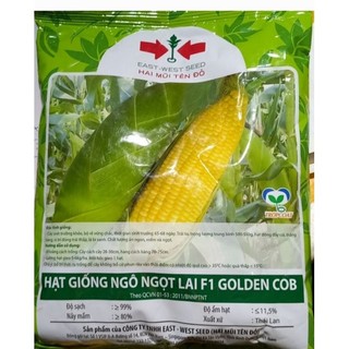 Hạt giống Bắp Ngọt Mỹ GÓI 500gram khoảng 3500 Hạt - Công ty Hai Mũi tên đỏ