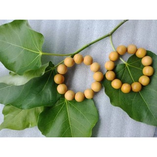 chuỗi gỗ quỹ kiến sầu
