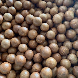 HẠT MACCA ĐĂK LĂK LOẠI 1(MẮC CA SẤY CHÍN) 500GR
