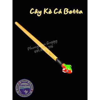 Cây kè cá betta - giúp cá sung