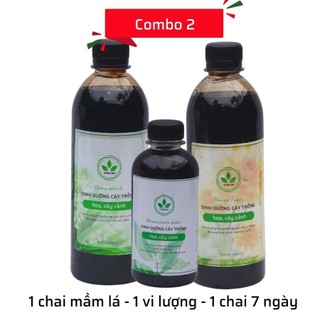 1 chai vi lượng EDTA, 0,5L mầm lá, 0,5L 7 ngày cho hoa hồng