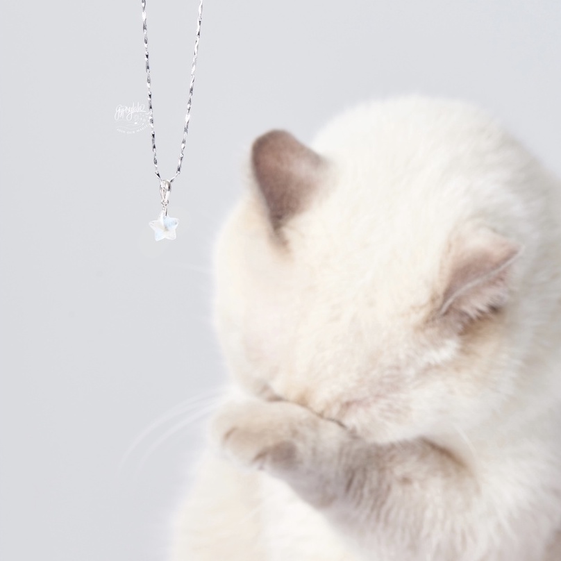 Mặt Dây Chuyền Ngôi Sao Đá Ánh Trăng SP005657 Gypsy.lala