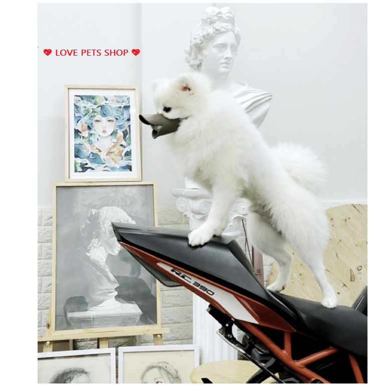 RỌ MÕM CHÓ HÌNH MỎ VỊT (ĐO KÍCH THƯỚC BÉ CÚN TRƯỚC KHI CHỌN SIZE) - LOVE PETS SHOP