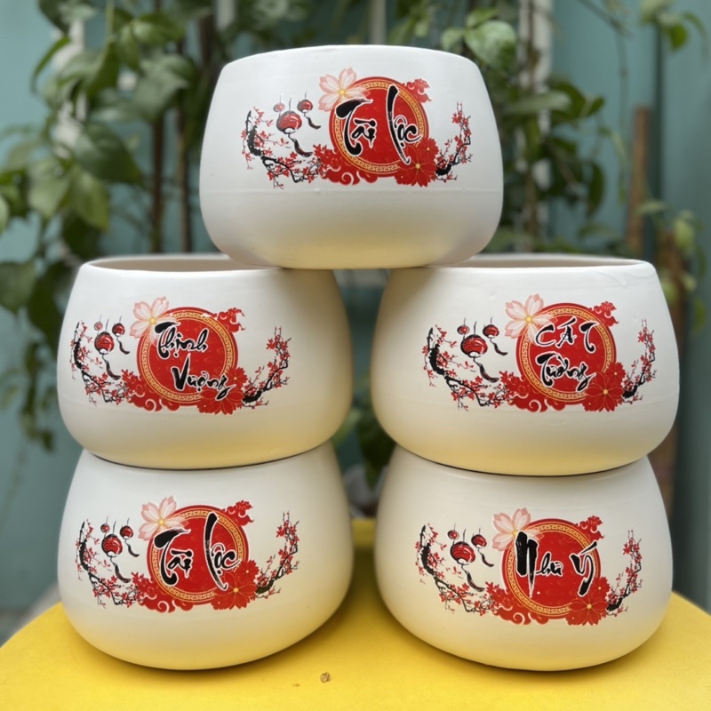 Chậu trồng cây dáng hạt dẻ, Chậu tết size to 19-20cm