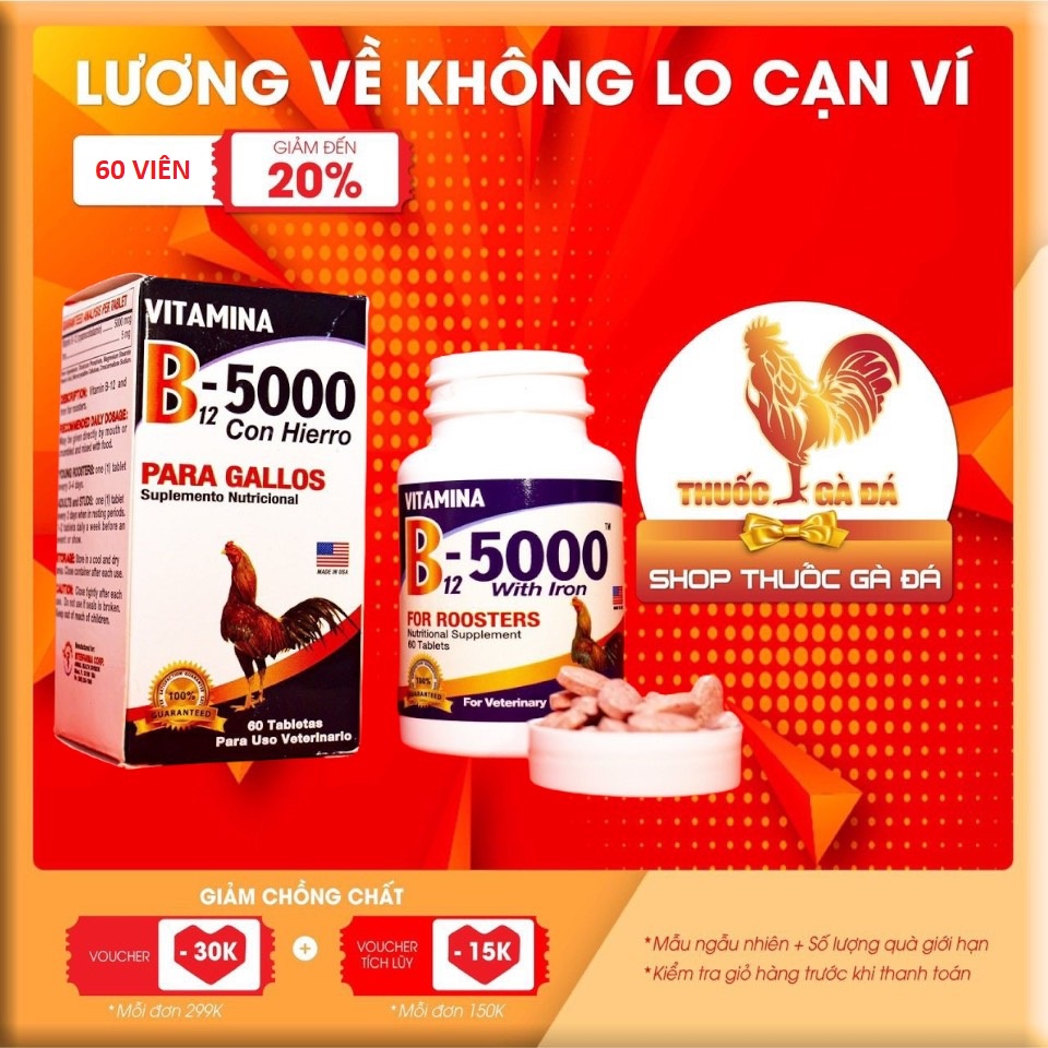 B12 5000 - BỔ SUNG VITAMINS CHO GÀ ĐÁ