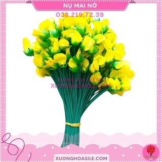 1kg nụ mai vải