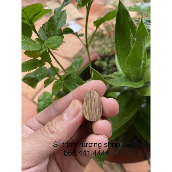 Charm Hư Không Tạng Bồ Tát trầm hương tốc