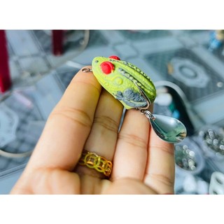 NHÁI HƠI CÓC MẮT LỒI