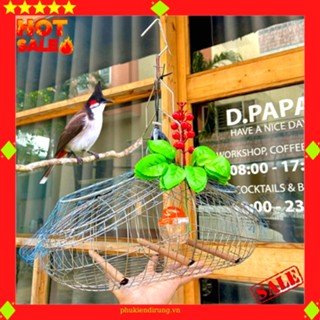 Lồng Bẫy Chào Mào Inox Kèm Phụ Kiện