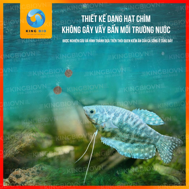 Cám Yee Ground Fish - Thức ăn dinh dưỡng hỗ trợ tiêu hóa cho các loại cá sống tầng đáy