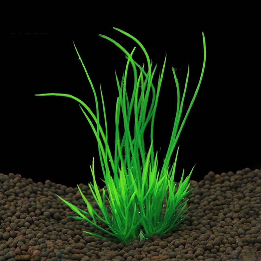 Set 10 Cỏ Nhựa Nhân Tạo Dùng Để Trang Trí Bể Cá