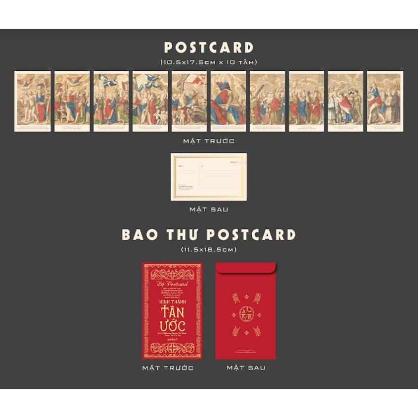 Sách Bìa Cứng - Kinh Thánh – Tân Ước - Alphabooks - Bản Quyền