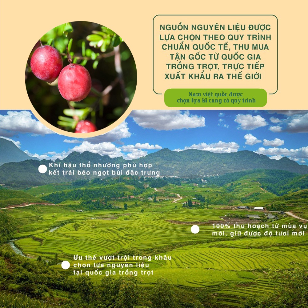 Nam Việt Quất nhập khẩu Canada 350g Dan D Pak