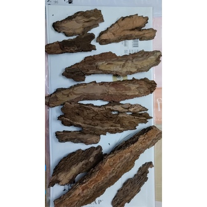 Vỏ Cây Tự Nhiên