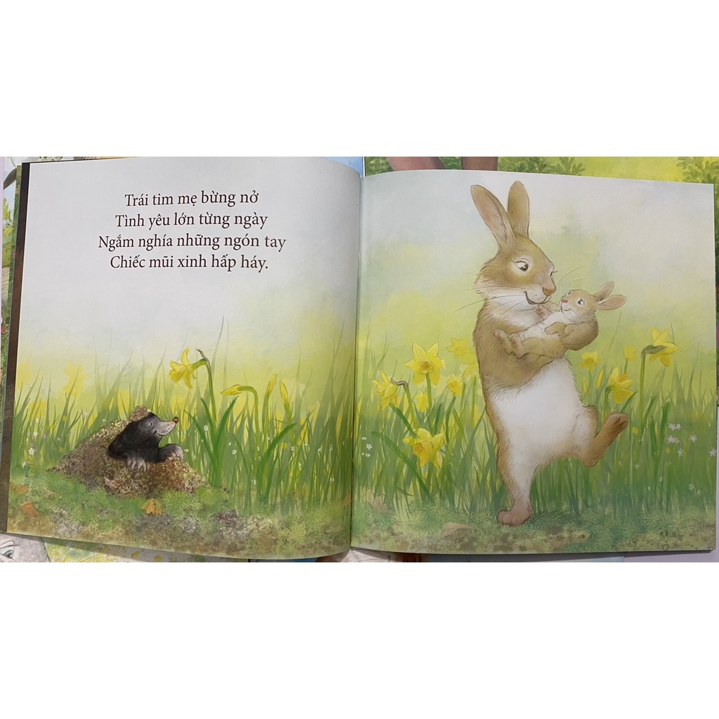 Sách - Bộ Yêu thương cho con (bộ 5 cuốn)