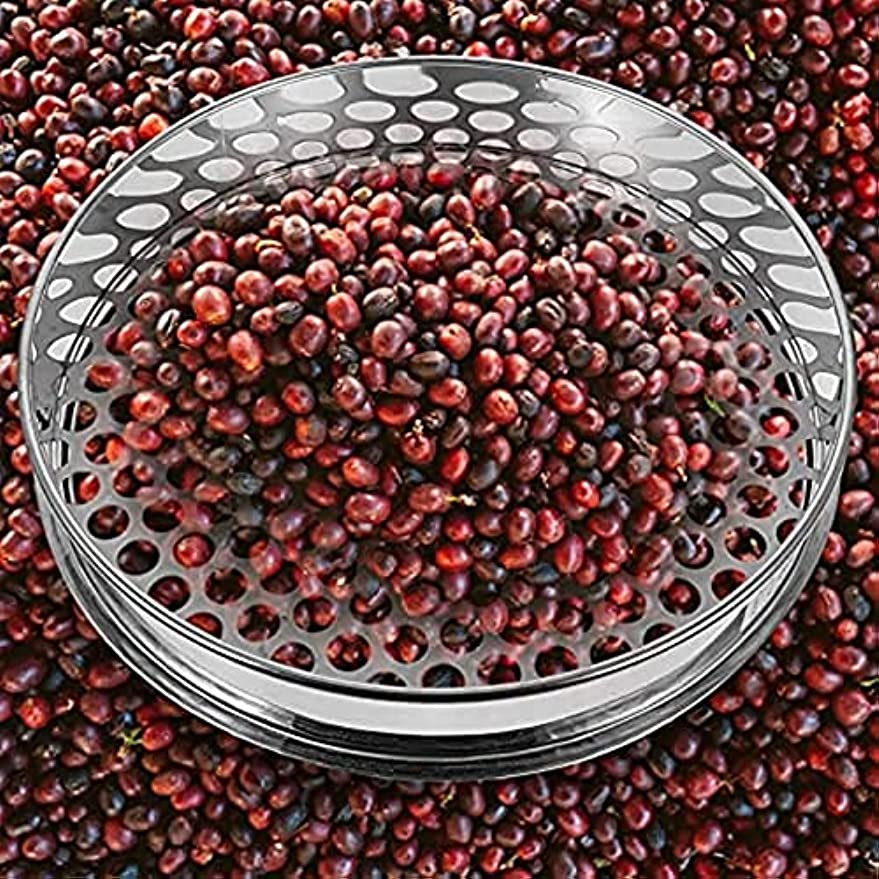 Hạt Nấm Đậu Nành Tròn Bằng Thép Không Gỉ 304  RYT