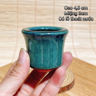 Chậu bí gốm sứ mini cao 4,5 cm