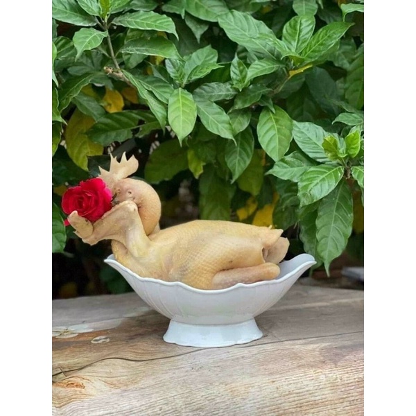 Bát thuyền bày gà lễ, gà cúng, bày hoa quả - hàng Bát Tràng.