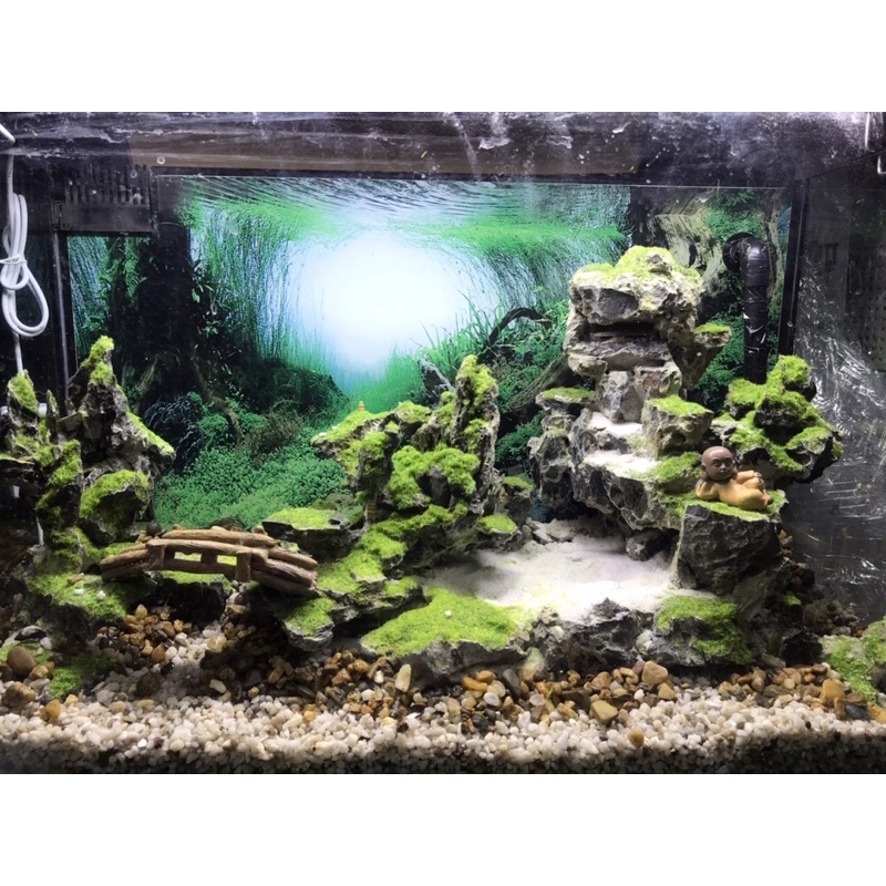 Hồ thuỷ sinh kết hợp với tiểu cảnh thác cát độc đáo - Aqua Mặt Trời Vàng