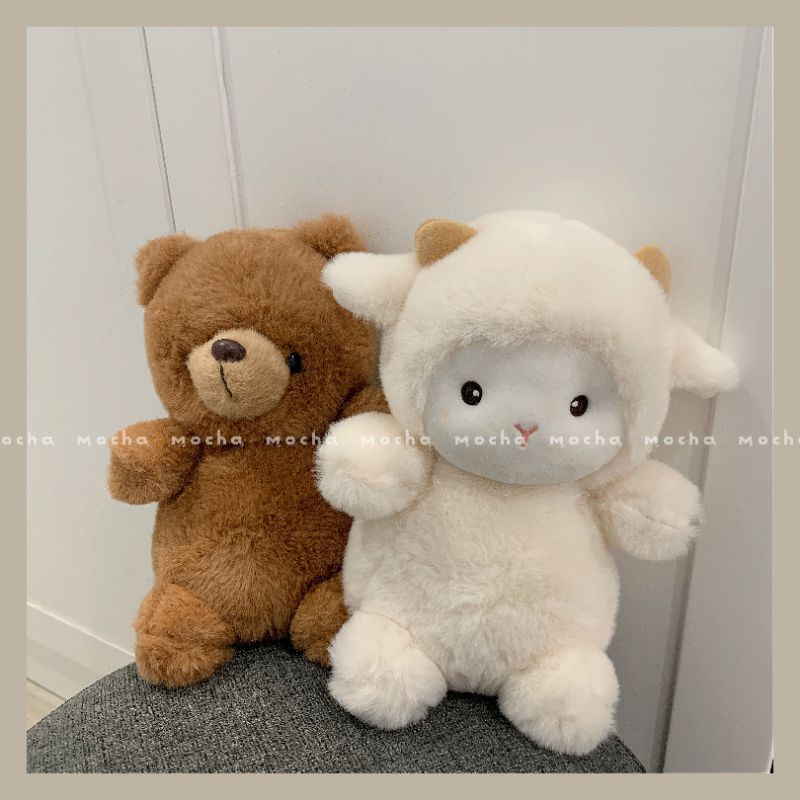 Gấu bông cừu, gấu cute