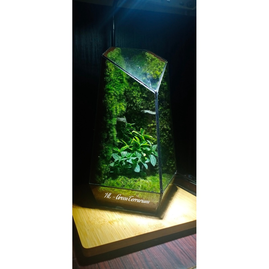 Bình Terrarim đã giác đã setup sẵn  làm quà tặng, trang trí , để bàn...