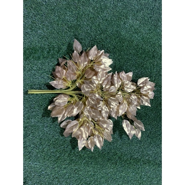 Lá cây si vàng giả