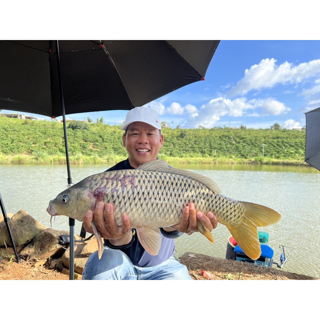Hương liệu câu cá Nước Vàng CNF - Buns Fishing