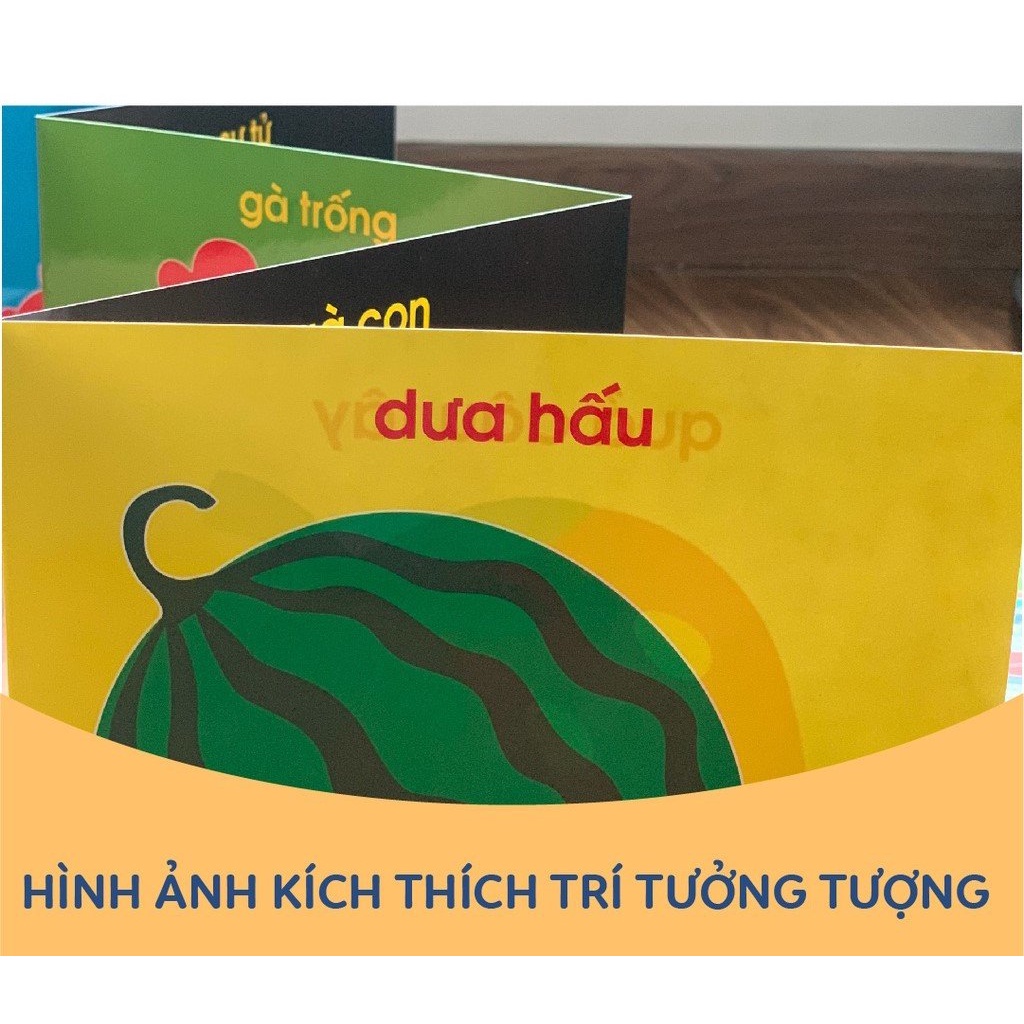 Bộ Thẻ Kích Thích Thị Giác Montessori Cho Trẻ Sơ Sinh Phát Triển Toàn Diện Thẻ ZicZac Benrikids