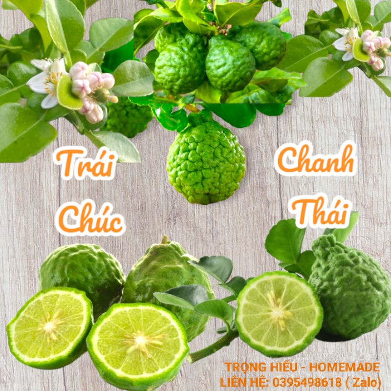 Trái Chúc  An Giang - 1kg