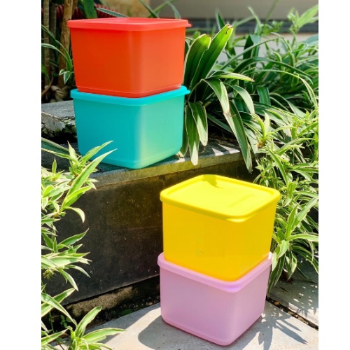 Bộ Hộp Bảo quản thực phẩm Tupperware Medium Square Round 4 Hộp