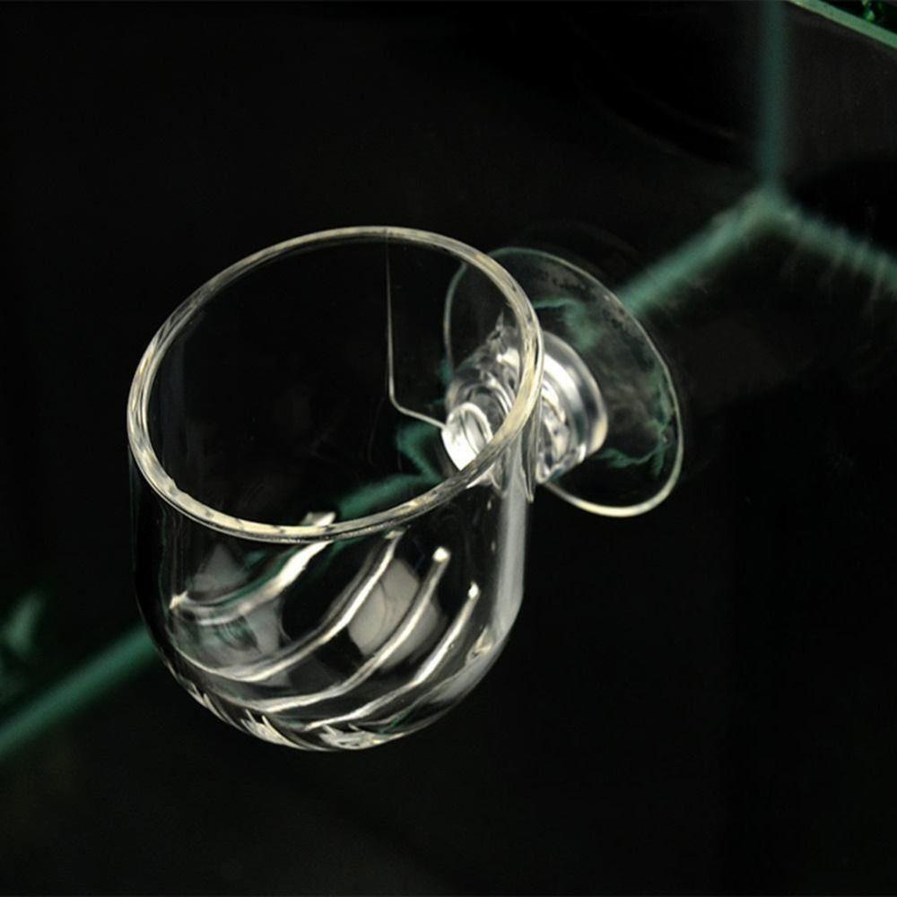 Chậu Thủy Tinh Trồng Cây Thủy Sinh LAYOR1