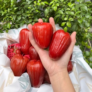 Mận an phước lai vung - roi đỏ 1kg