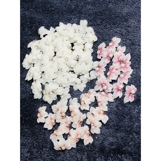 Hoa Bột Nail Thanh Lý