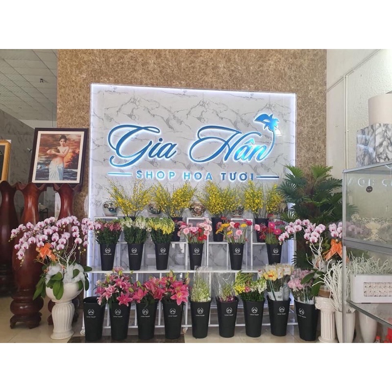 XÔ BÀY HOA CAO CẤP