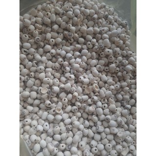 500g hạt sen phơi khô làm sạch