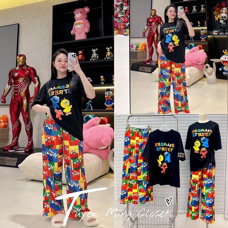 Set áo cotton hoạt hình Sesam Street đáng yêu- Set quần suông áo thun cao cấp - HN Closet