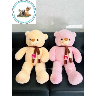 Gấu Bông Teddy ôm trà sữa - Teddy choằng Khăn