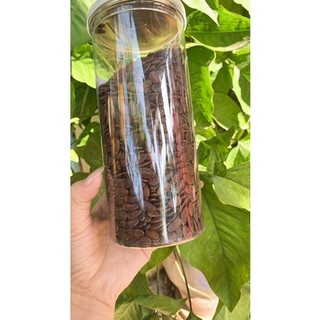 Hạt Dưa kg loại một (500g ;1kg )