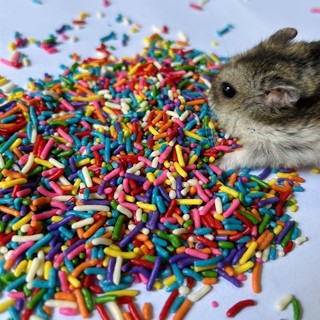 Kẹo cốm Vitamin cho Hamster và thú nhỏ 35g