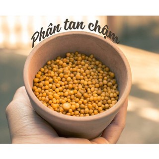 Phân Tan Chậm Thái Lan Túi 50gr-100gr