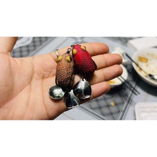 NHÁI HƠI CÓC MINI THÁI 3.5 Cm
