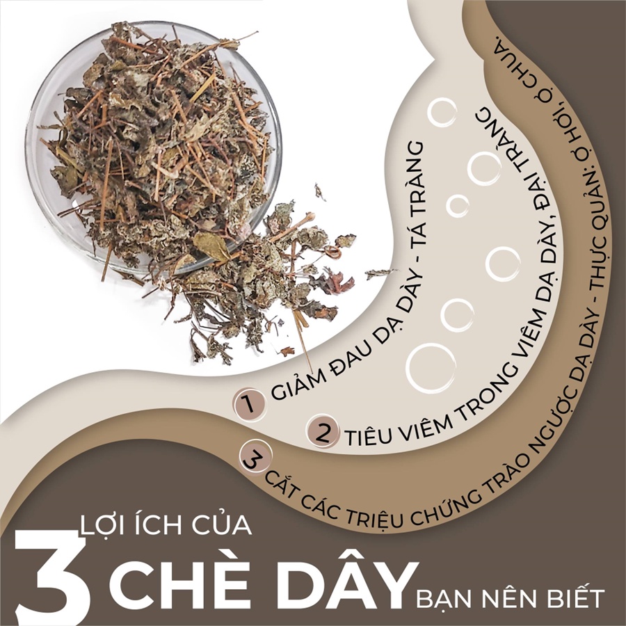Chè dây - Hỗ trợ điều trị viêm dạ dày tá tràng, trào ngược dạ dày tá tràng - Túi 500g