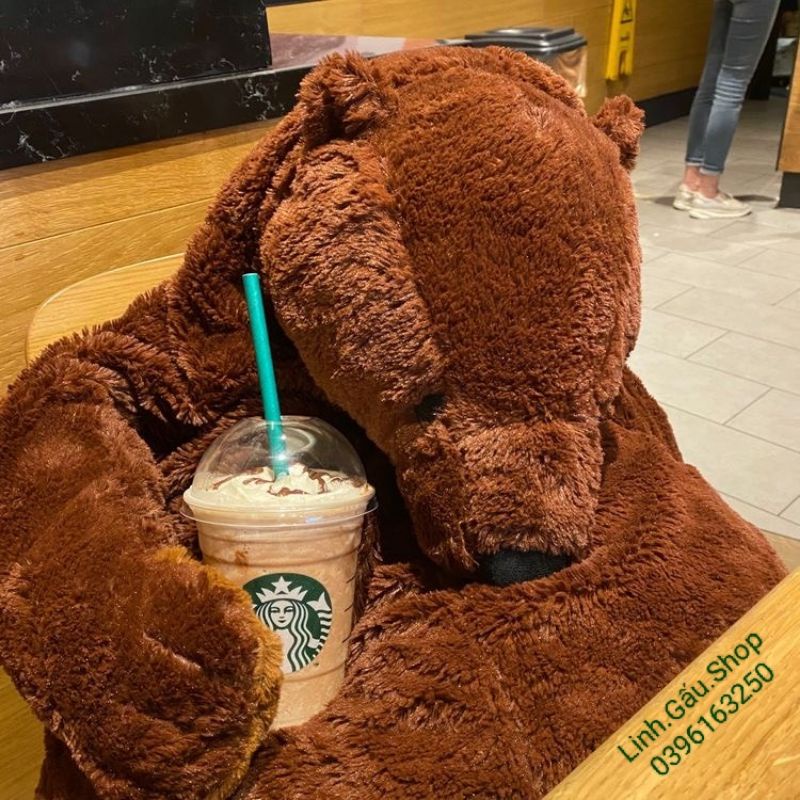 GẤU NÂU IKEA SIÊU TO 1M